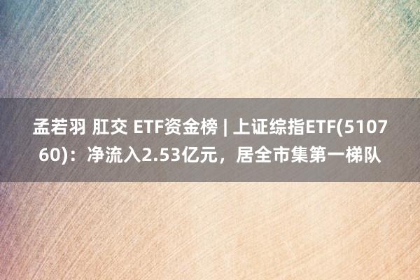 孟若羽 肛交 ETF资金榜 | 上证综指ETF(510760)：净流入2.53亿元，居全市集第一梯队