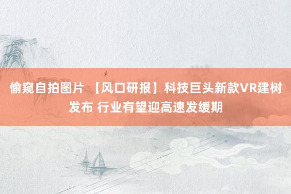 偷窥自拍图片 【风口研报】科技巨头新款VR建树发布 行业有望迎高速发缓期
