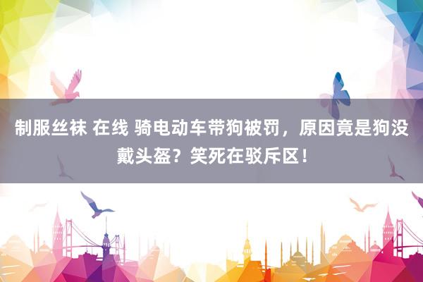 制服丝袜 在线 骑电动车带狗被罚，原因竟是狗没戴头盔？笑死在驳斥区！