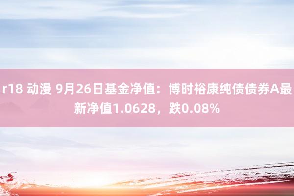 r18 动漫 9月26日基金净值：博时裕康纯债债券A最新净值1.0628，跌0.08%