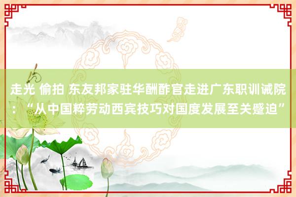 走光 偷拍 东友邦家驻华酬酢官走进广东职训诫院：“从中国粹劳动西宾技巧对国度发展至关蹙迫”