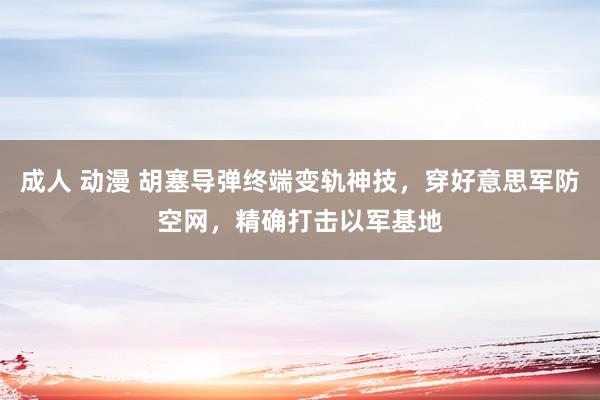 成人 动漫 胡塞导弹终端变轨神技，穿好意思军防空网，精确打击以军基地