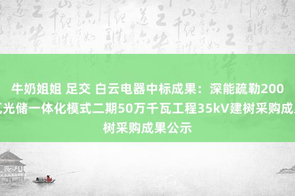 牛奶姐姐 足交 白云电器中标成果：深能疏勒200万千瓦光储一体化模式二期50万千瓦工程35kV建树采购成果公示