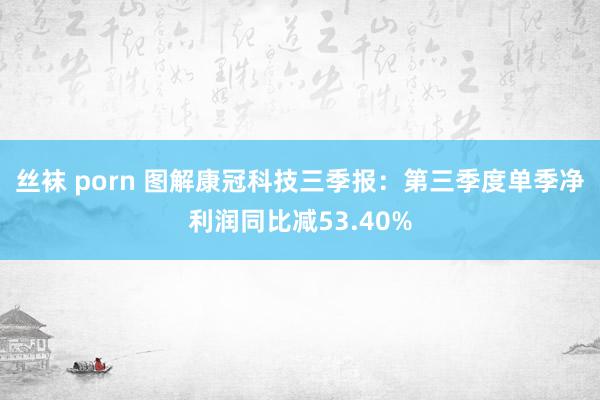丝袜 porn 图解康冠科技三季报:第三季度单季净利润同比减53.40%