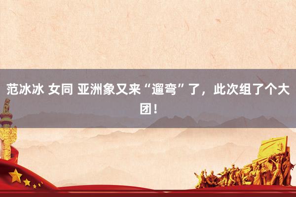 范冰冰 女同 亚洲象又来“遛弯”了，此次组了个大团！