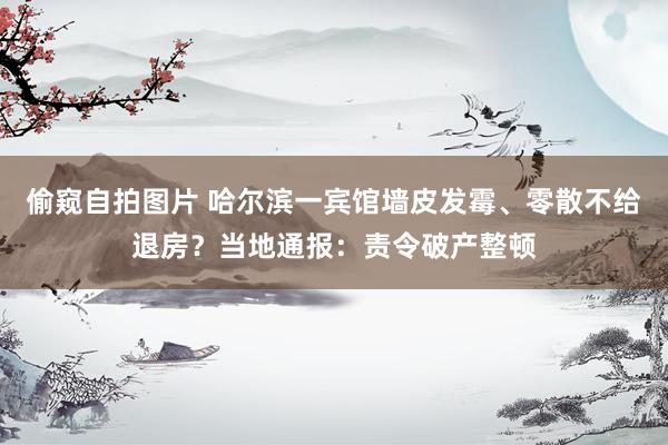 偷窥自拍图片 哈尔滨一宾馆墙皮发霉、零散不给退房？当地通报：责令破产整顿
