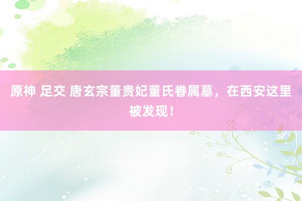 原神 足交 唐玄宗董贵妃董氏眷属墓，在西安这里被发现！