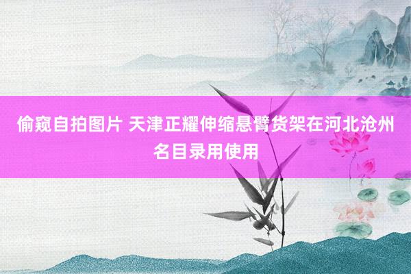 偷窥自拍图片 天津正耀伸缩悬臂货架在河北沧州名目录用使用