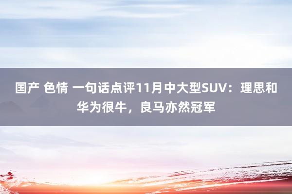 国产 色情 一句话点评11月中大型SUV：理思和华为很牛，良马亦然冠军