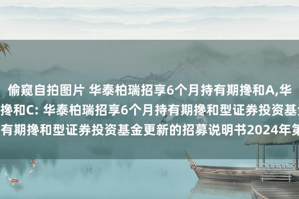 偷窥自拍图片 华泰柏瑞招享6个月持有期搀和A,华泰柏瑞招享6个月持有期搀和C: 华泰柏瑞招享6个月持有期搀和型证券投资基金更新的招募说明书2024年第1号
