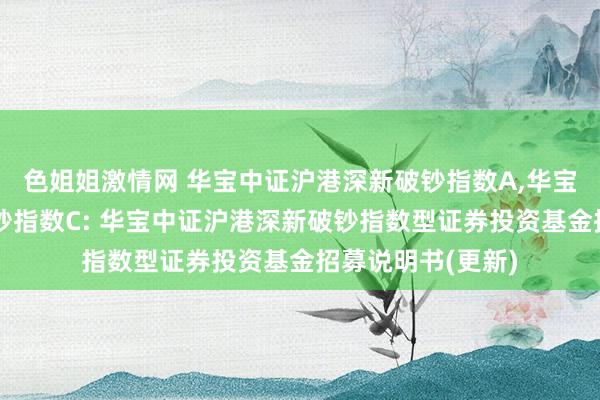 色姐姐激情网 华宝中证沪港深新破钞指数A,华宝中证沪港深新破钞指数C: 华宝中证沪港深新破钞指数型证券投资基金招募说明书(更新)