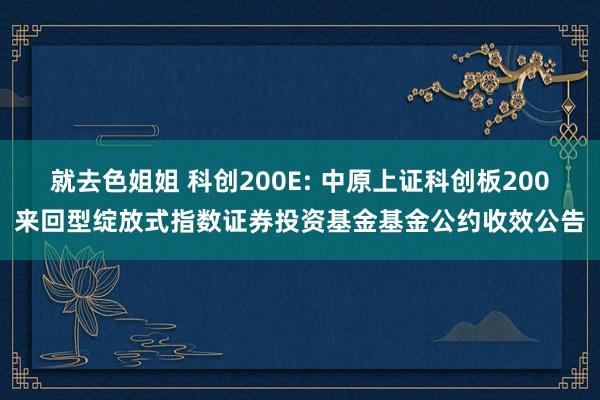 就去色姐姐 科创200E: 中原上证科创板200来回型绽放式指数证券投资基金基金公约收效公告
