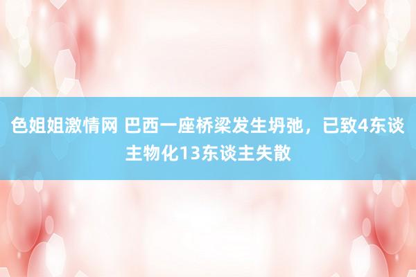 色姐姐激情网 巴西一座桥梁发生坍弛，已致4东谈主物化13东谈主失散