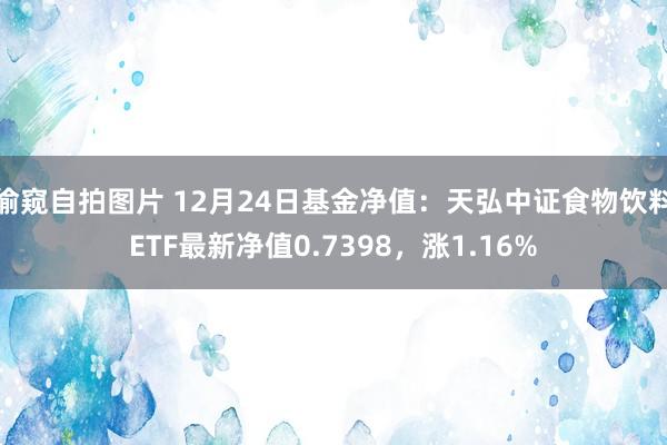 偷窥自拍图片 12月24日基金净值：天弘中证食物饮料ETF最新净值0.7398，涨1.16%