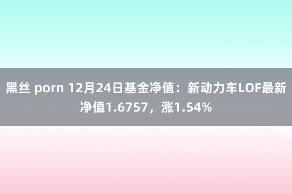 黑丝 porn 12月24日基金净值：新动力车LOF最新净值1.6757，涨1.54%