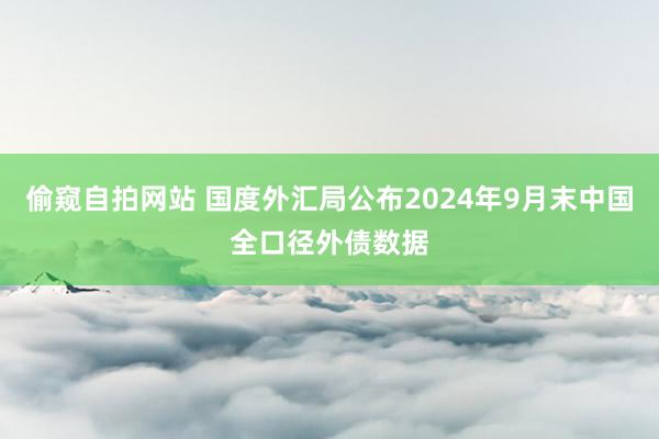 偷窥自拍网站 国度外汇局公布2024年9月末中国全口径外债数据