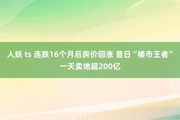 人妖 ts 连跌16个月后房价回涨 昔日“楼市王者”一天卖地超200亿