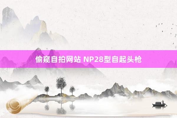 偷窥自拍网站 NP28型自起头枪