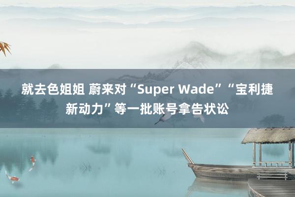就去色姐姐 蔚来对“Super Wade”“宝利捷新动力”等一批账号拿告状讼