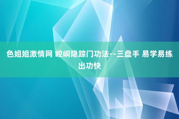 色姐姐激情网 崆峒隐踪门功法--三盘手 易学易练出功快
