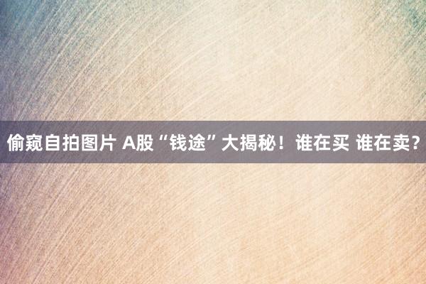 偷窥自拍图片 A股“钱途”大揭秘！谁在买 谁在卖？