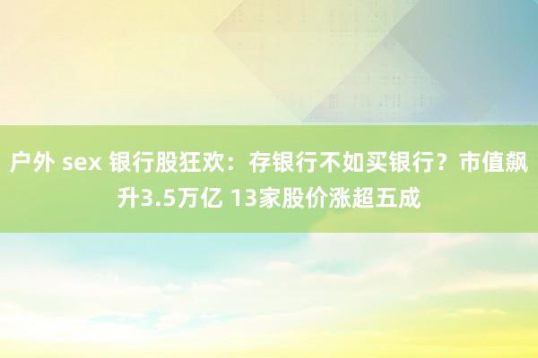 户外 sex 银行股狂欢：存银行不如买银行？市值飙升3.5万亿 13家股价涨超五成
