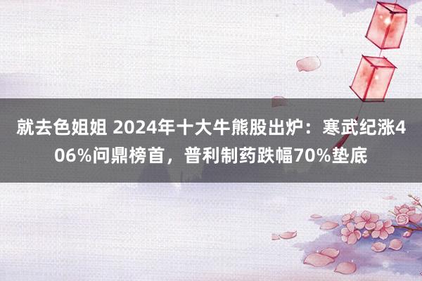 就去色姐姐 2024年十大牛熊股出炉：寒武纪涨406%问鼎榜首，普利制药跌幅70%垫底