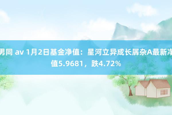 男同 av 1月2日基金净值：星河立异成长羼杂A最新净值5.9681，跌4.72%