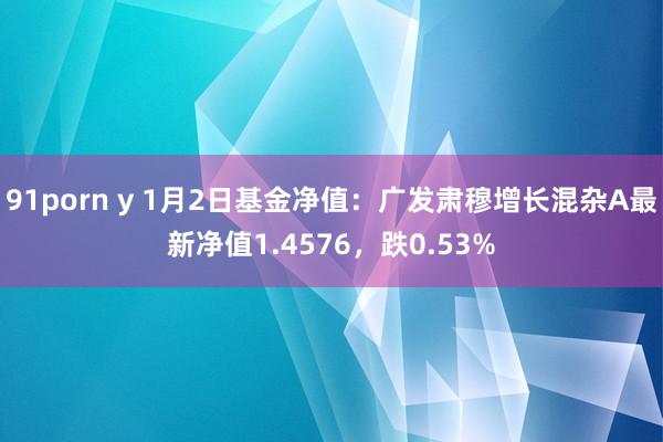 91porn y 1月2日基金净值：广发肃穆增长混杂A最新净值1.4576，跌0.53%