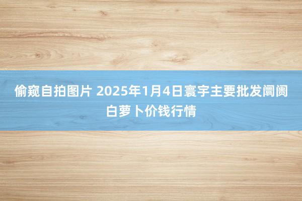 偷窥自拍图片 2025年1月4日寰宇主要批发阛阓白萝卜价钱行情