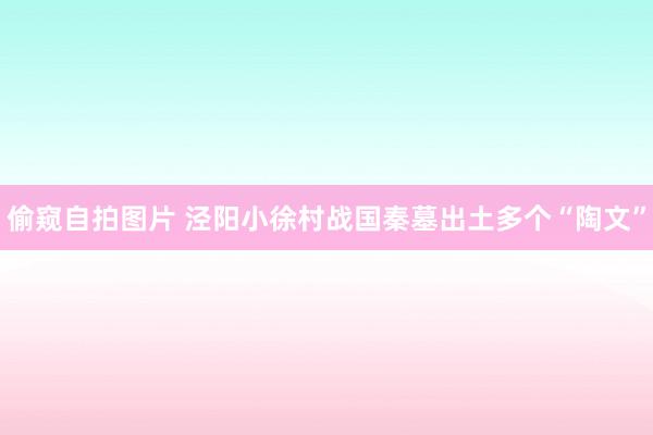 偷窥自拍图片 泾阳小徐村战国秦墓出土多个“陶文”