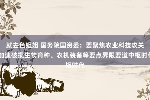 就去色姐姐 国务院国资委：要聚焦农业科技攻关 加速破损生物育种、农机装备等要点界限要道中枢时代