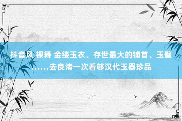 抖音风 裸舞 金缕玉衣、存世最大的铺首、玉璧……去良渚一次看够汉代玉器珍品
