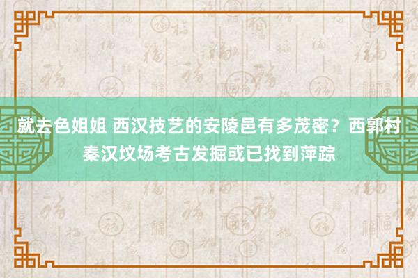 就去色姐姐 西汉技艺的安陵邑有多茂密?西郭村秦汉坟场考古发掘或已找到萍踪