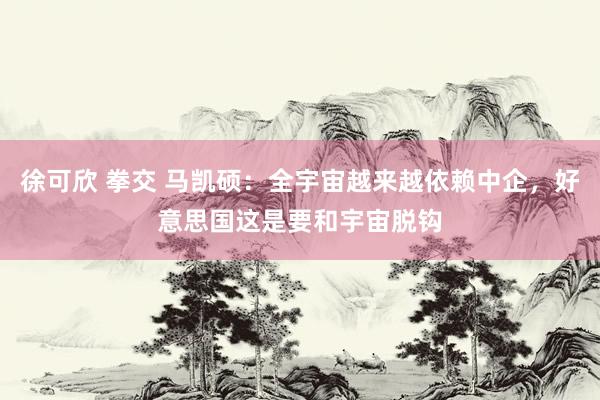 徐可欣 拳交 马凯硕：全宇宙越来越依赖中企，好意思国这是要和宇宙脱钩