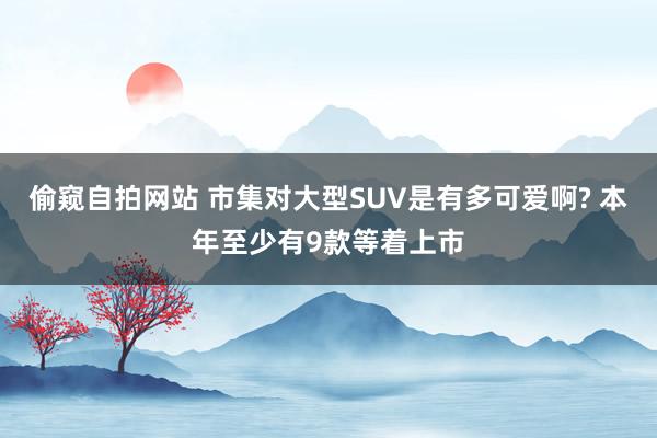 偷窥自拍网站 市集对大型SUV是有多可爱啊? 本年至少有9款等着上市