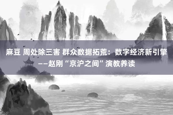 麻豆 周处除三害 群众数据拓荒：数字经济新引擎——赵刚“京沪之间”演教养读