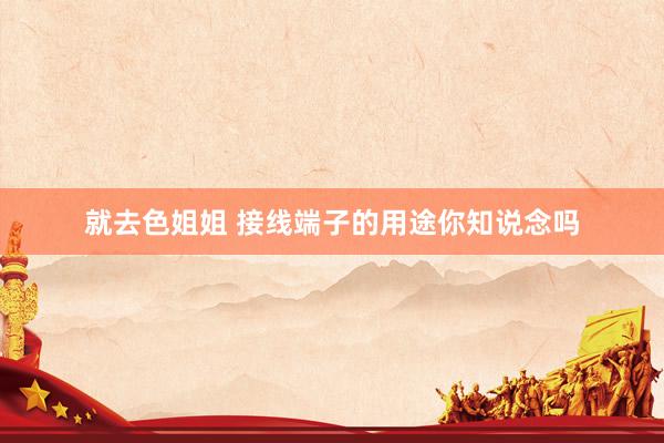 就去色姐姐 接线端子的用途你知说念吗