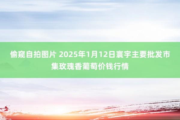 偷窥自拍图片 2025年1月12日寰宇主要批发市集玫瑰香葡萄价钱行情