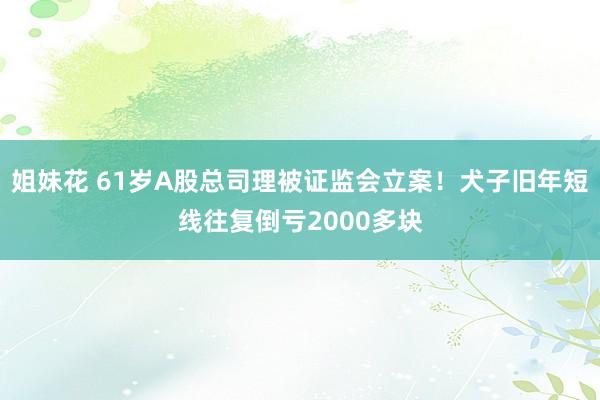 姐妹花 61岁A股总司理被证监会立案！犬子旧年短线往复倒亏2000多块