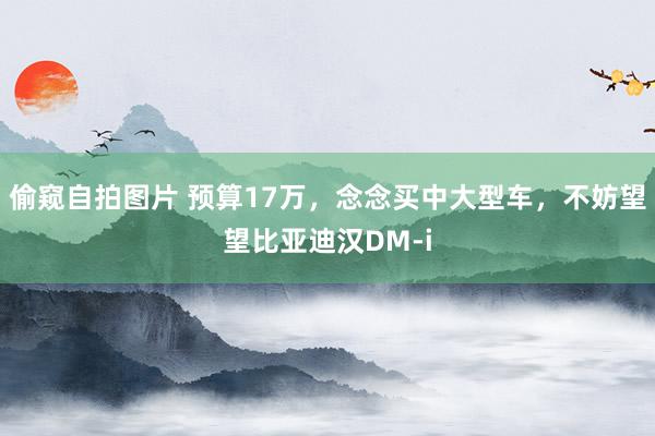 偷窥自拍图片 预算17万，念念买中大型车，不妨望望比亚迪汉DM-i