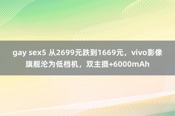gay sex5 从2699元跌到1669元，vivo影像旗舰沦为低档机，双主摄+6000mAh