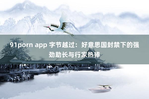91porn app 字节越过：好意思国封禁下的强劲助长与行家热捧