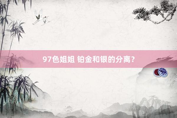 97色姐姐 铂金和银的分离？