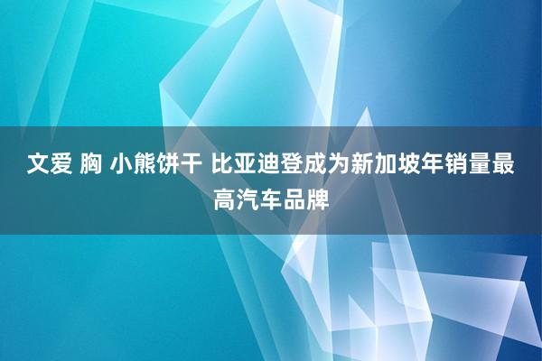 文爱 胸 小熊饼干 比亚迪登成为新加坡年销量最高汽车品牌