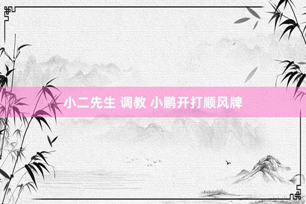 小二先生 调教 小鹏开打顺风牌