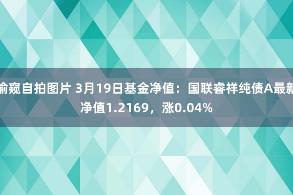 偷窥自拍图片 3月19日基金净值：国联睿祥纯债A最新净值1.2169，涨0.04%
