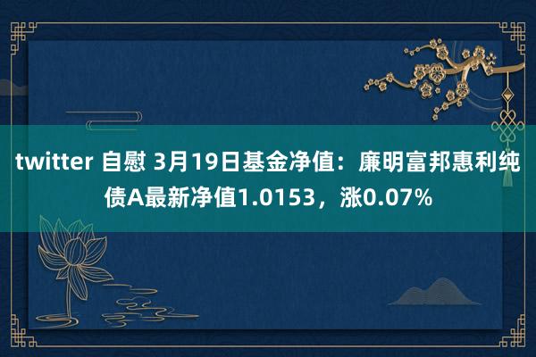 twitter 自慰 3月19日基金净值：廉明富邦惠利纯债A最新净值1.0153，涨0.07%