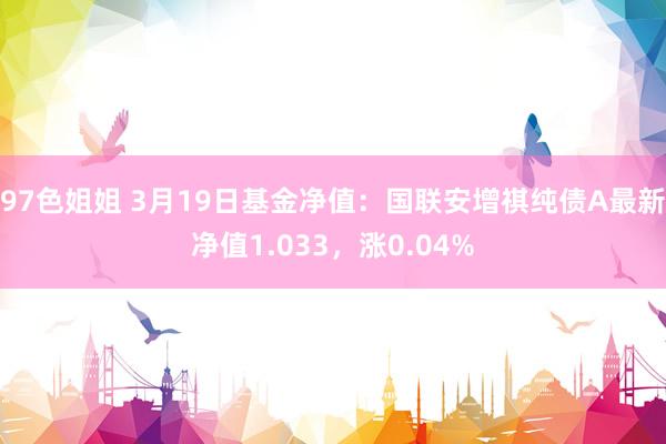 97色姐姐 3月19日基金净值：国联安增祺纯债A最新净值1.033，涨0.04%
