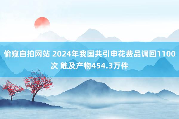 偷窥自拍网站 2024年我国共引申花费品调回1100次 触及产物454.3万件
